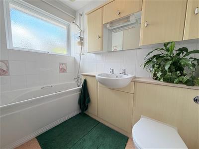Picture 16